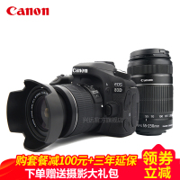 佳能(Canon) EOS 80D 中高端单反相机 18-55 IS+55-250 IS双镜头套装 2420万 礼包版