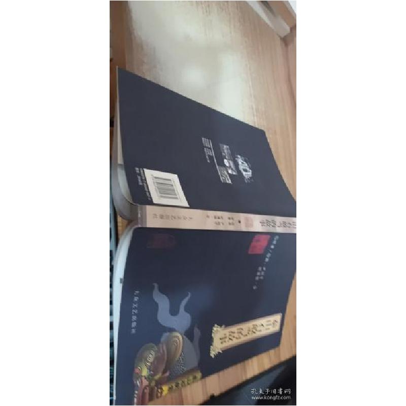 正版新书】泰山石敢当的故事舒博雅·金9787802400474