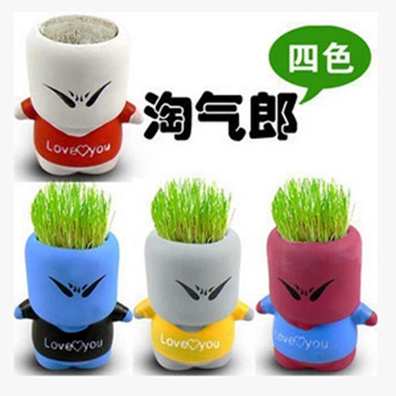 办公室桌面小植物 DIY迷你淘气郎盆栽 QQ表情长头娃娃小盆栽
