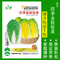 8424麒麟无籽美都西瓜种籽大全种子水果瓜小南方蔬菜苗秧种孑阳台 均码 四季金娃娃菜约300粒
