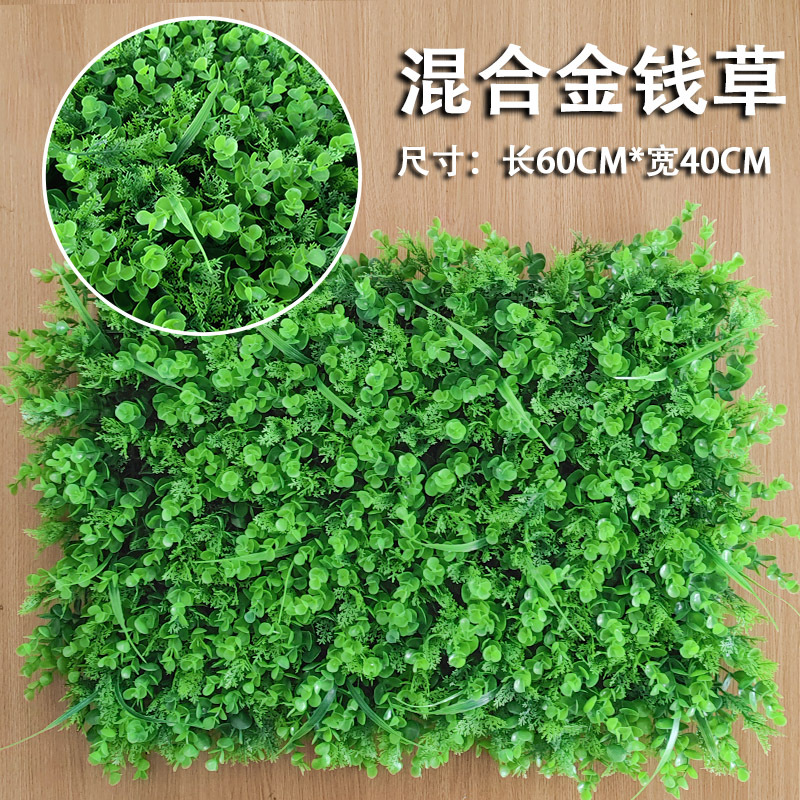 绿植墙仿真植物草坪墙 混合金钱草
