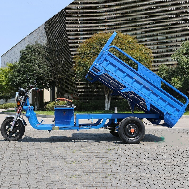 电动三轮车 货车载重王新款农用电瓶车货运三轮车电动车(含订制车厢)