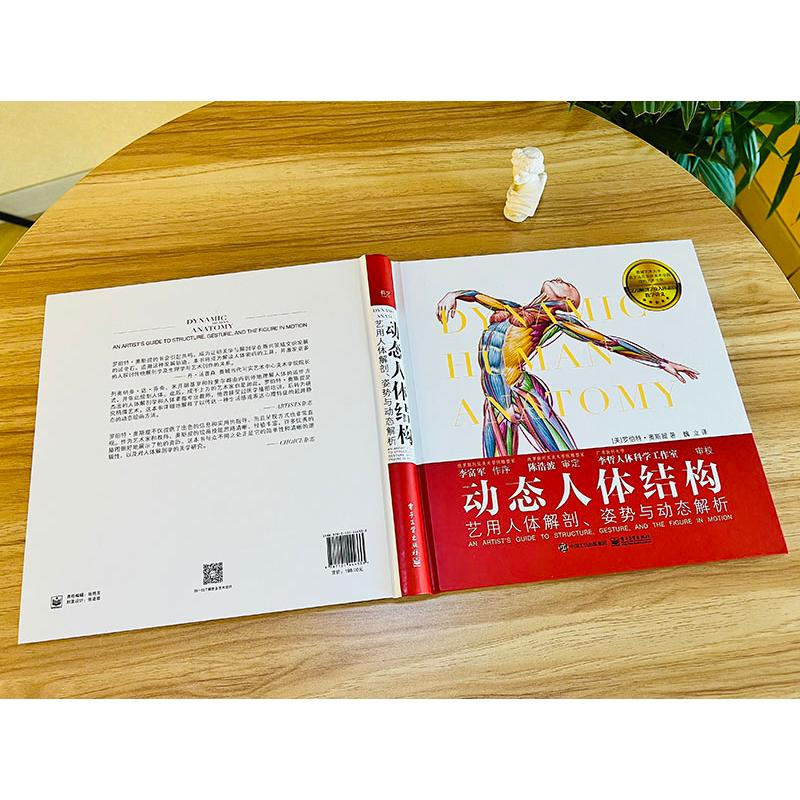 [M]动态人体结构 艺用人体解剖、姿势与动态解析-9787121444333高清大图