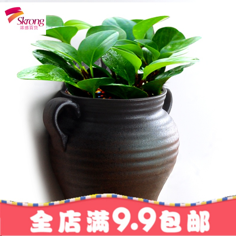 壁挂花盆陶瓷欧式创意阳台垂盆绿萝悬挂式多肉花盆墙壁装饰花器