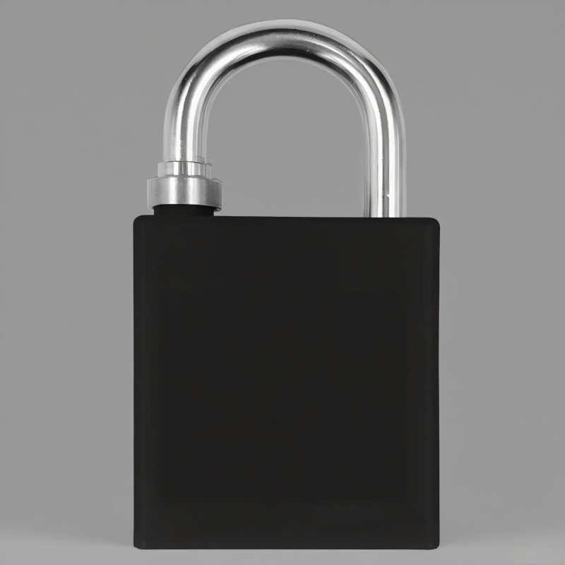 明壹行 MYX-GS04 不锈钢通开挂锁(计价单位:个) 黑色