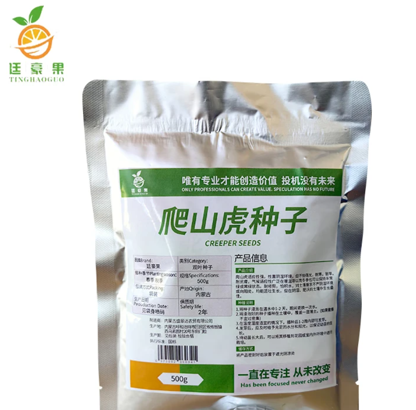 廷豪果 爬山虎种子 5叶爬山虎种子 500g/斤高清大图