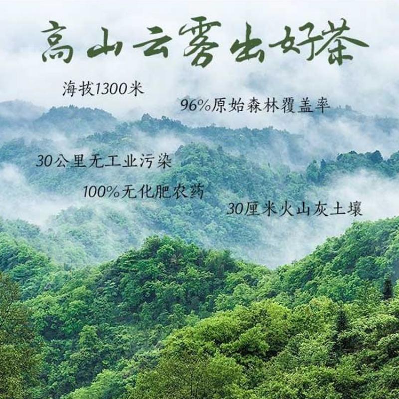 三氧品味蒙顶甘露62.5g SY-PW002高清大图