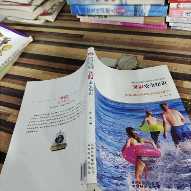 正版新书】青少年应该知道的安全知识丛书:暑假安全知识伍英 编9