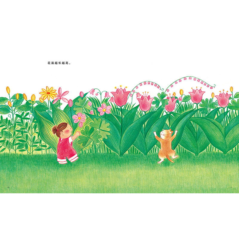 [正版]莎娜系列套装新三本蒲蒲兰硬壳精装绘本图画书莎娜的梦幻花园莎娜和森林帽子店等儿童课外阅读书籍童书高清大图