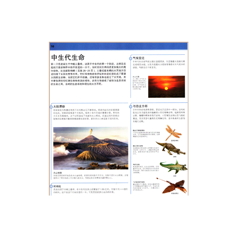 DK科学历史百科全书 [正版]DK恐龙知识大百科 儿童 学校 彩图 版精装图鉴 3至15岁幼儿中小学生恐龙大全恐龙故事立