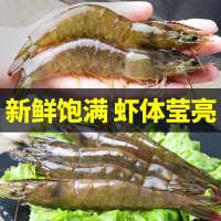 【已检疫】40-50特大白虾基围虾女王虾毛重4斤 规格大虾 去冰净重2.8斤南美白虾海产冷冻虾类 秘鲁产 九善食品牌