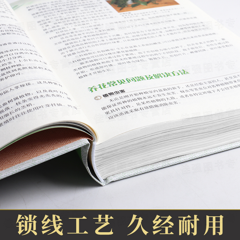 [醉染正版]一本书学会 家庭养花和阳台种菜 精装正版 养花入门 在阳台上种菜 手把手教你阳台种菜 家庭种菜书 绿色蔬菜种高清大图