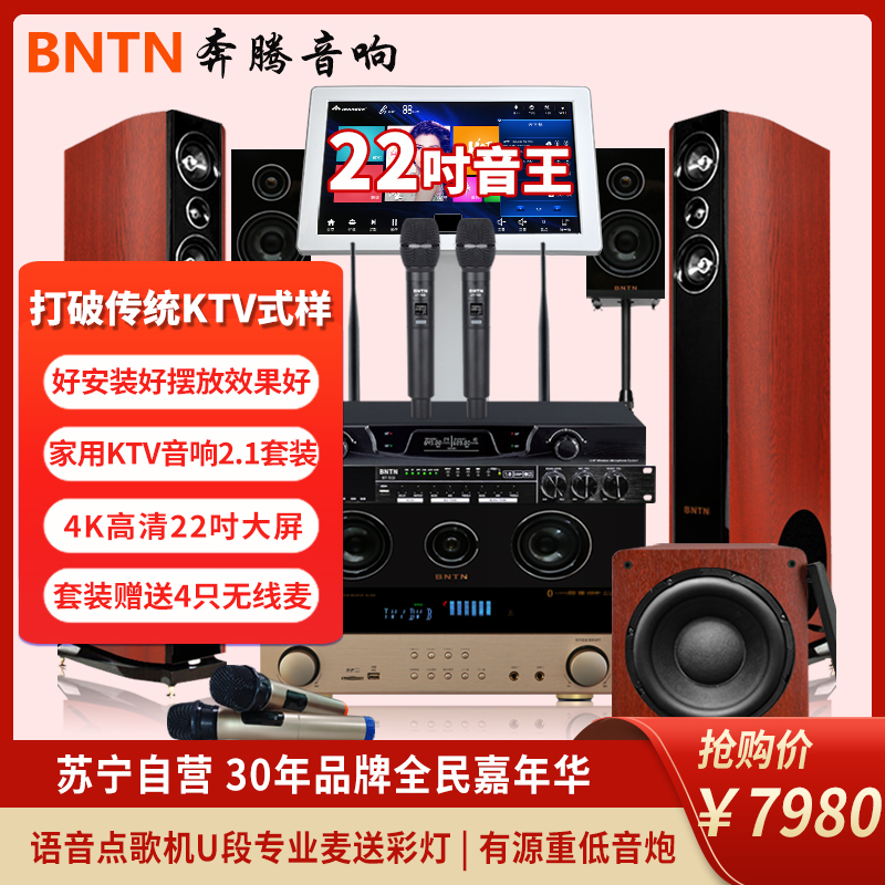 奔腾(BNTN)套装家庭影院KTV音响卡拉OK音箱组合点歌机电视客厅会议音响5.1声道功放低音炮无线话筒效果器全套