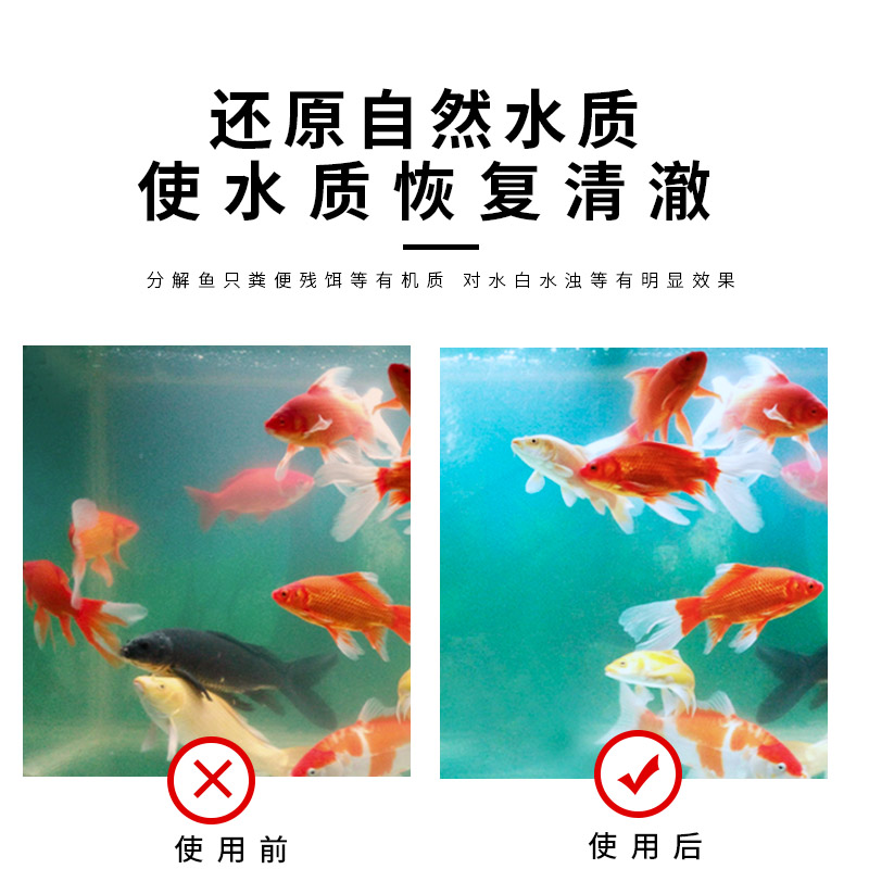 硝化细菌鱼缸用净水剂活菌淡水海水养鱼水质稳定剂净化高清大图