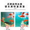 硝化细菌鱼缸用净水剂活菌淡水海水养鱼水质稳定剂净化