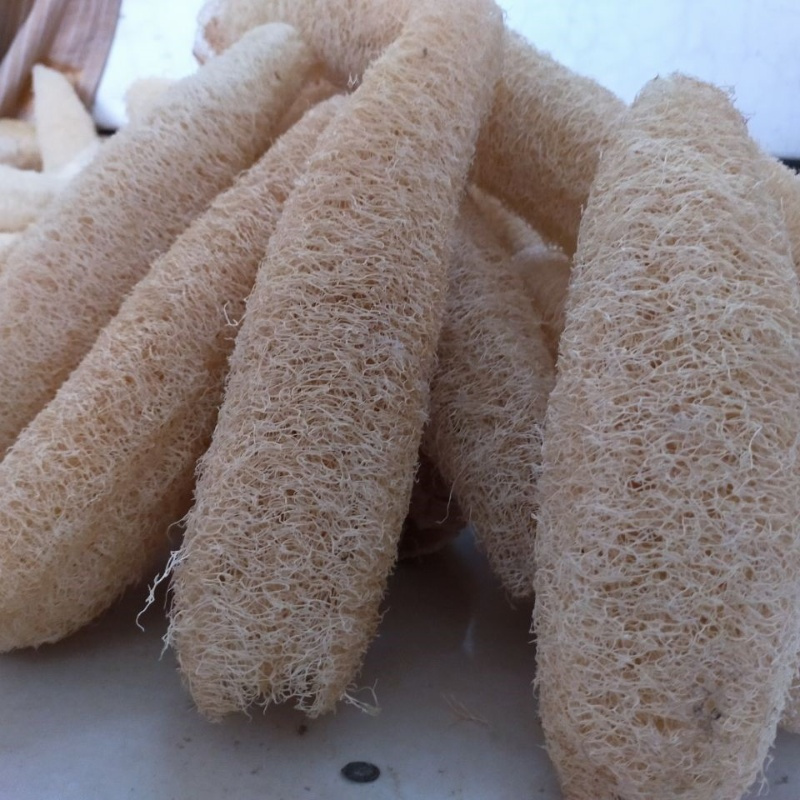 农家天然软丝瓜络洗碗刷锅搓澡巾洗澡老干丝瓜瓤水瓜囊百洁布