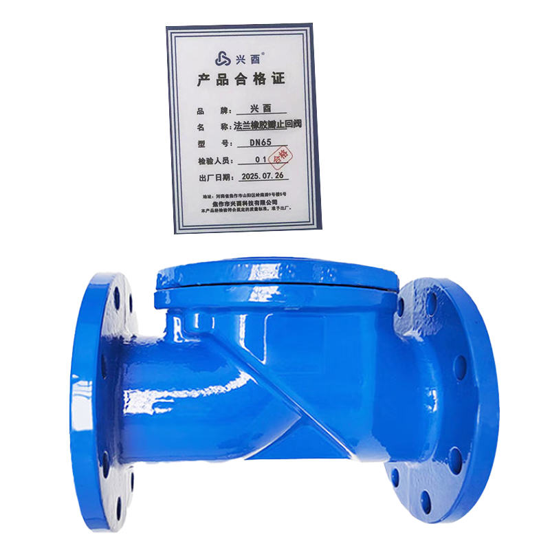 兴酉 法兰橡胶瓣止回阀 DN65 个高清大图