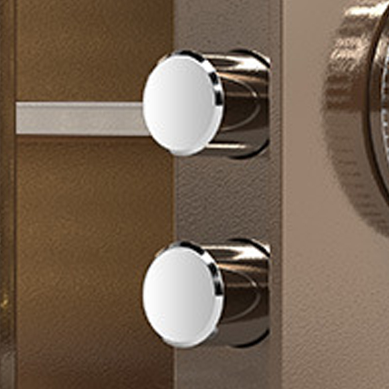 臻远 ZY40618096 小型保险柜密码保险箱全钢防盗保管箱 30cm咖色指纹密码款高清大图