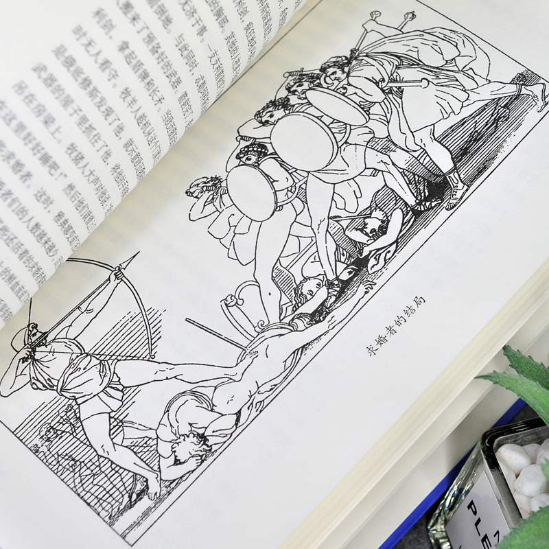 希腊神话+赠考题册 [正版] 希腊神话 原著完整版 德施瓦布著 世界儿童文学名著精读本插图 三四五六年级故事书 名师高清大图