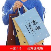 一套4个装学生科目分类收纳袋透明网袋文件袋防水帆布拎书袋