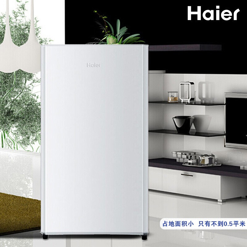 Haier海尔冰箱 BC-93TMPF