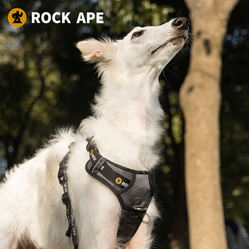 洛克猩球 宠物胸背L码 RAPT013