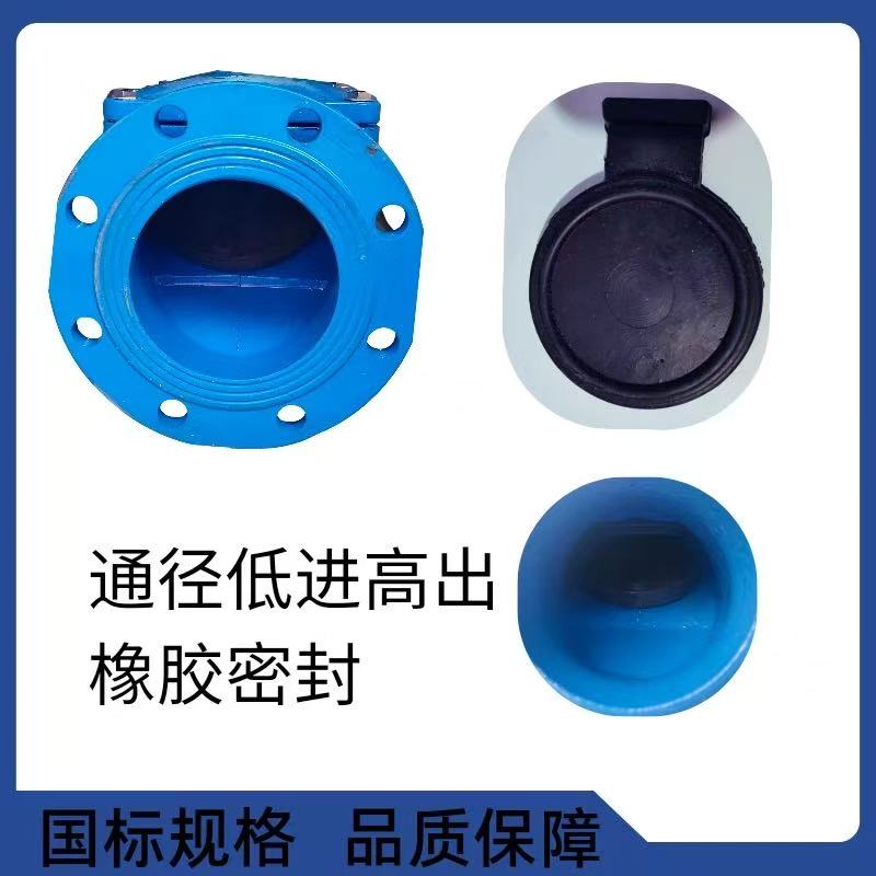 伟鹏双兴 软密封橡胶瓣止回阀 DN250 台高清大图