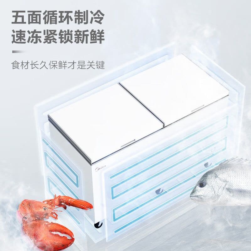 美的 商用大容积卧式大型冰柜/台 BD/BC-521DKM(E)图片