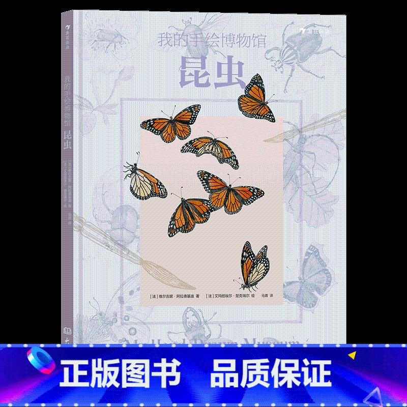 我的手绘博物馆:昆虫 [正版] 6-12岁儿童昆虫科普百科任选MOVE图鉴昆虫法布尔老师的昆虫教室 昆虫结构习性昆虫图鉴