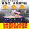 泡澡桶成人折叠洗澡盆儿童沐浴桶家用浴缸浴盆大号加厚全身泡澡汗蒸神器沐浴桶