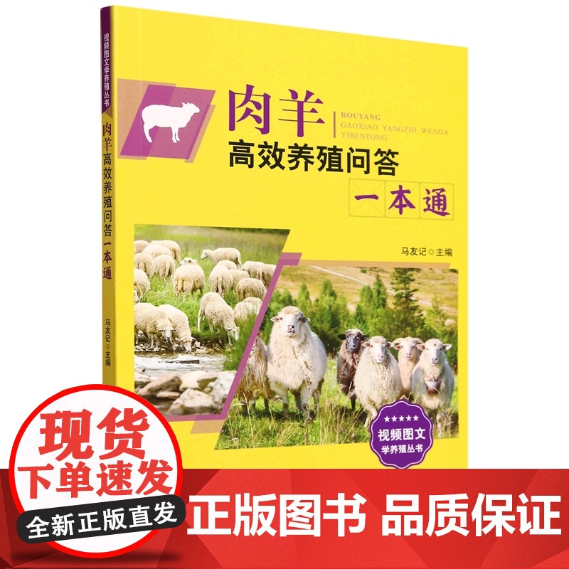 肉羊高效养殖问答一本通/视频图文学养殖丛书 马友记 编 9787109317536 中国农业出版社高清大图