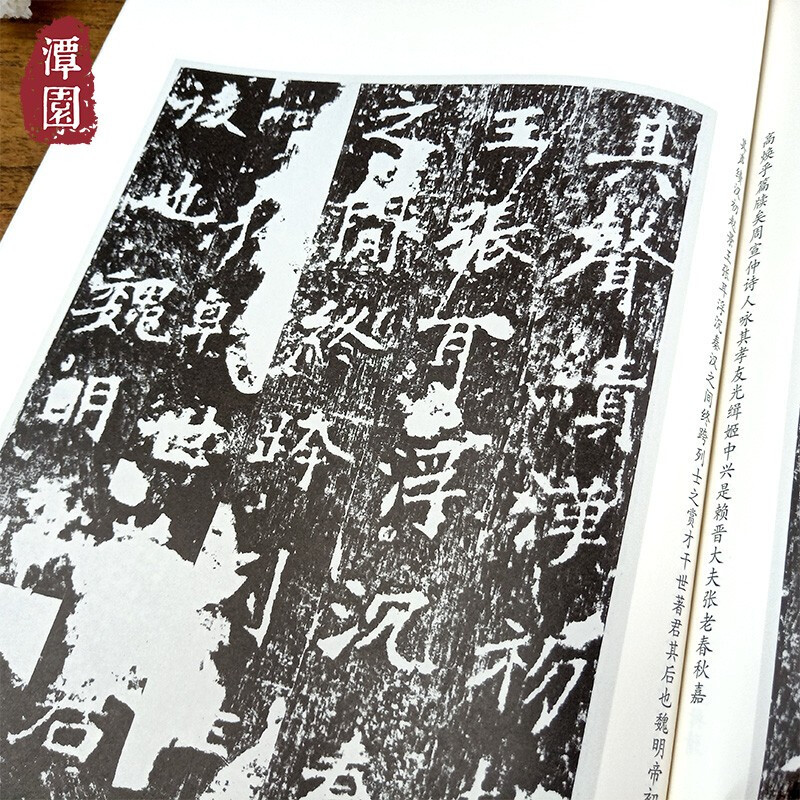 [正版]张猛龙碑帖 新书谱中国书法基础教程 北魏碑毛笔字帖 张猛龙原碑帖技法精讲 书法集字高清放大旁注章法结构楷书入门