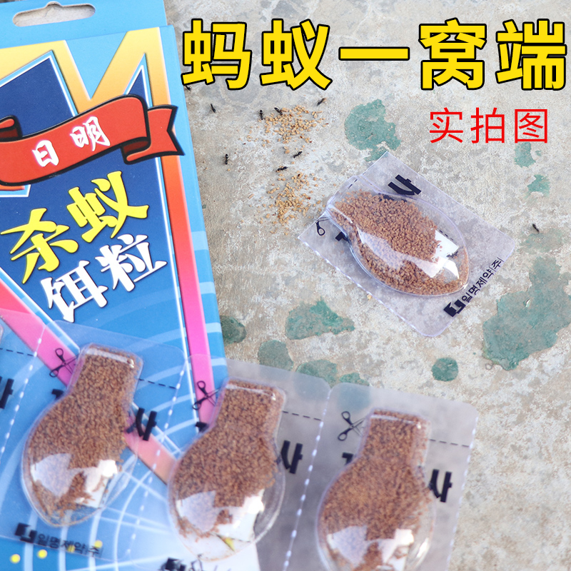 韩国进口日明蚂蚁药家用蚂蚁全窝端室内厨房灭小红蚂蚁黑蚂蚁高清大图