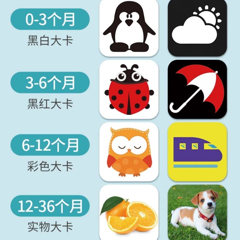 彩色卡片婴儿早教卡视觉训练0到3个月新生儿黑白卡追视闪色卡认知图片