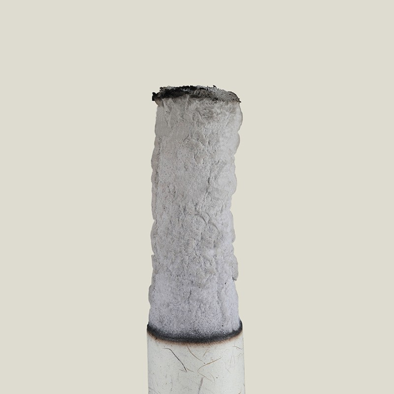 艾修堂艾条艾柱陈年黄金艾绒艾灸盒艾灸棒艾条蕲艾条(10支装)(白色版)