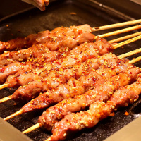 蒙都 内蒙古羊腿肉串(200g/1袋装) 清真烧烤食材羊肉