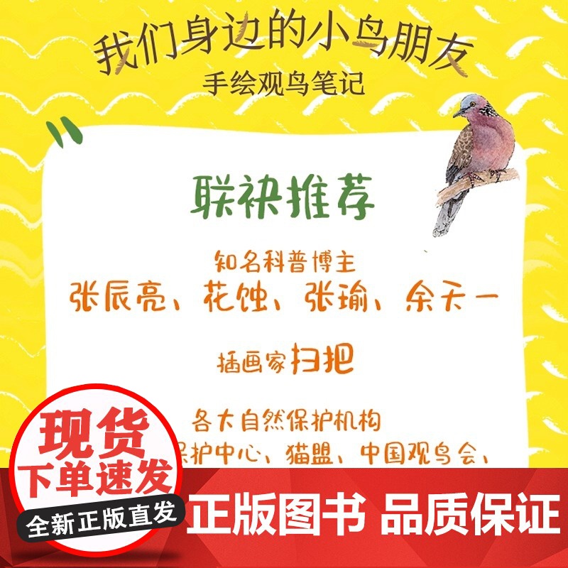 我们身边的小鸟朋友 手绘观鸟笔记 青少年少儿科普读物 课外读物 鸟类科普图鉴 手绘插画 本书适合自然爱好者和艺术爱好者阅高清大图