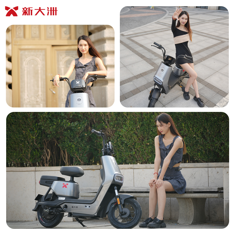 电动车/摩托车>电动车销售>电动车>新大洲>新大洲电动车>800_800