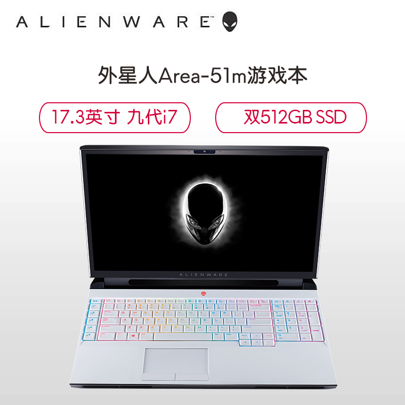 外星人(Alienware)ALWA51M-R1966W 17.3英寸游戏笔记本电脑(i7-9700K 16G内存 双512G固态 8G独显 )