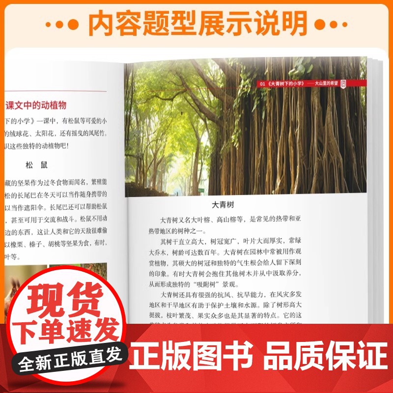 2025版博物课堂阳光同学一二三四五六年级上册下册小学语文暑假阅读同步教材一课一读学习百科全书随文伴读课外阅读书素材美文高清大图