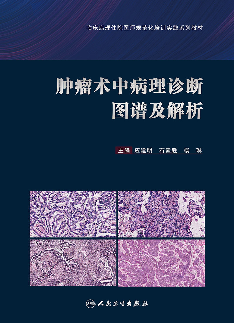 [正版] 肿瘤术中病理诊断图谱及解析 应建明 石素胜 杨琳 手术案例病理图片图谱病理学罕见病例诊断治疗肿瘤学冰冻切片外高清大图