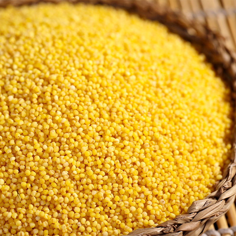 裕道府 金苗黄小米 500g 06.02.065高清大图
