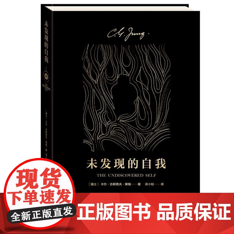 未发现的自我 心理学大师荣格 通俗易懂 了解人类潜意识的入门之作 心理学经典著作 集体无意识心高清大图