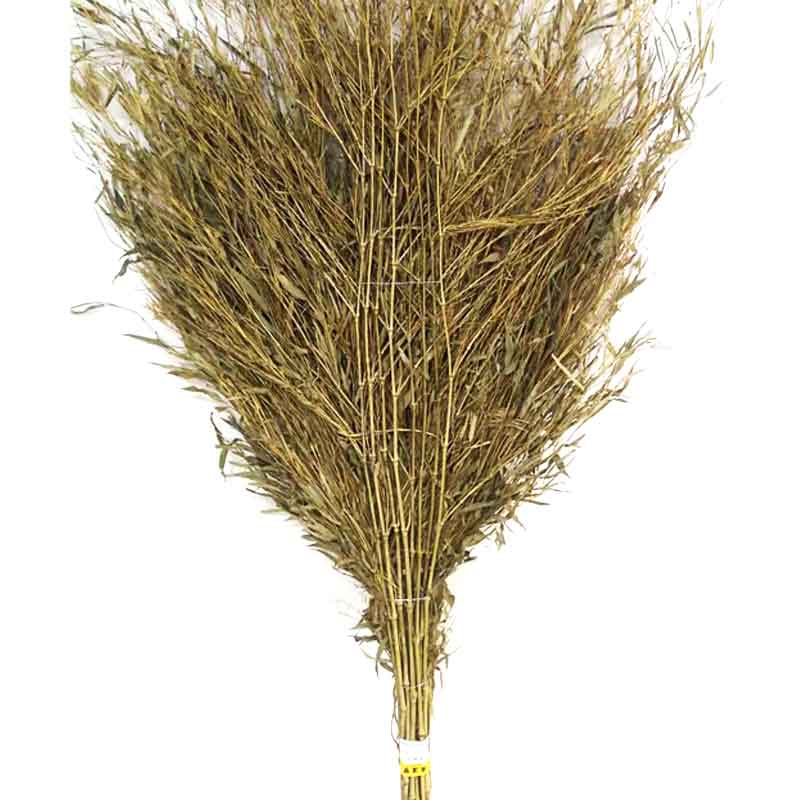 莱溪梦竹扫把中号