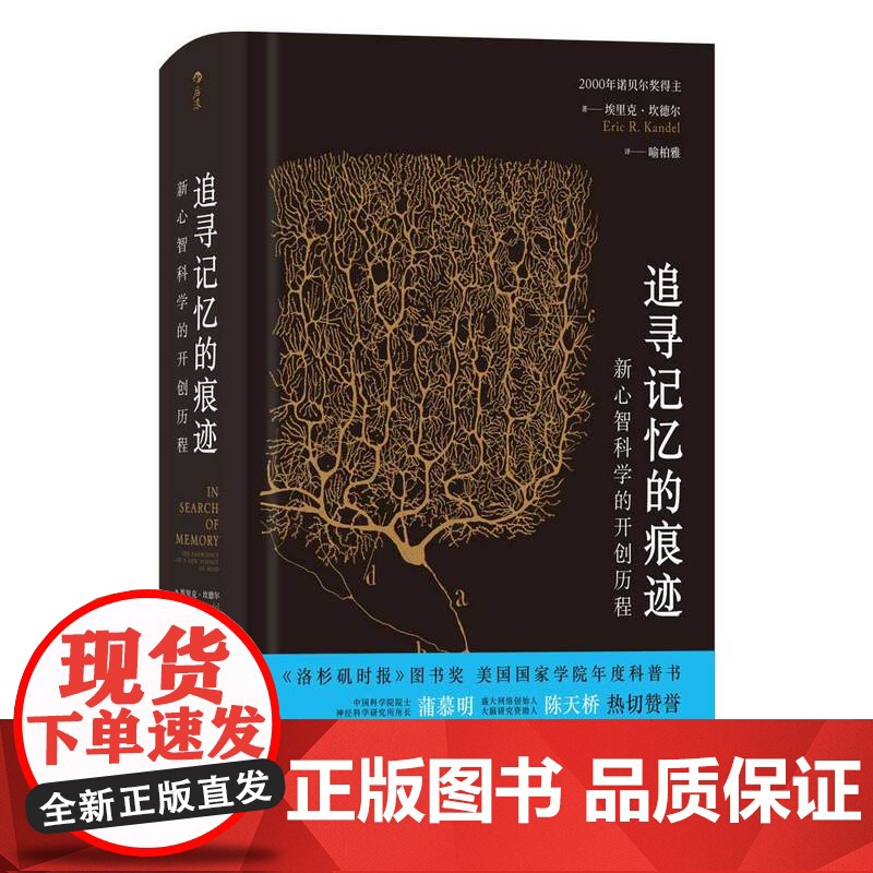 智慧宫丛书 追寻记忆的痕迹 十三邀许知远鲁白联袂 诺贝尔生理学奖医学神经科学家传记中学生课外科普书籍