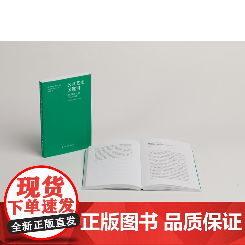 公共艺术关键词 布丽奇特弗兰岑主编姜俊张钟萄执行主编上海书画出版社理解公共艺术与城市文化重要读本艺术指南高清大图
