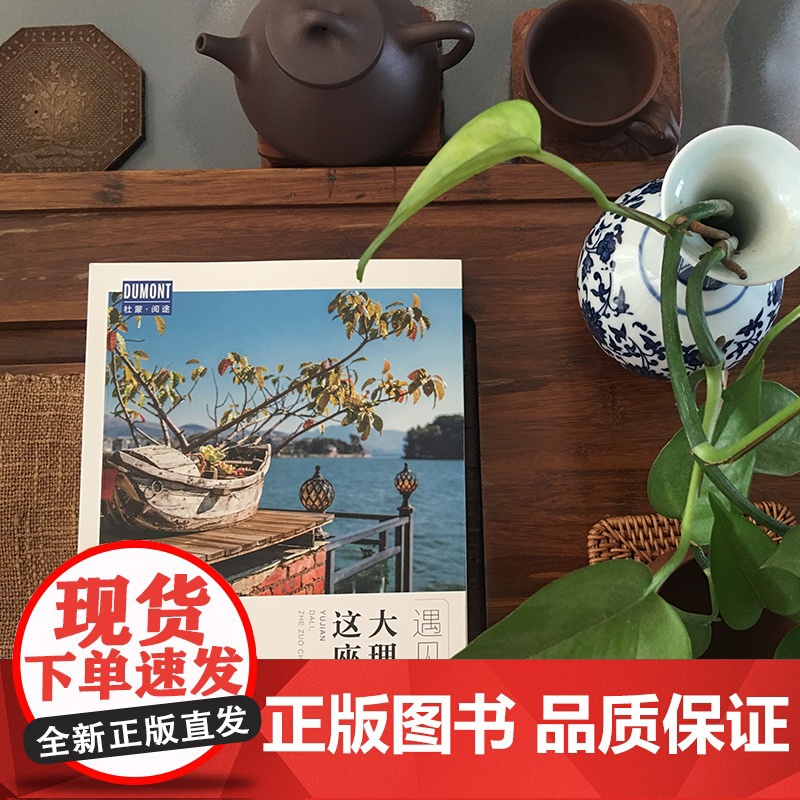 大理 这座城 藏羚羊旅行指南编辑部 著 旅游地图高清大图