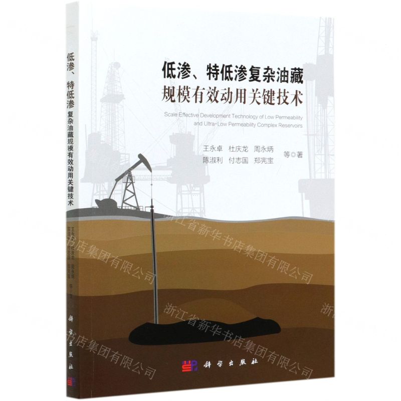 【N】低渗特低渗复杂油藏规模有效动用关键技术-9787030637758