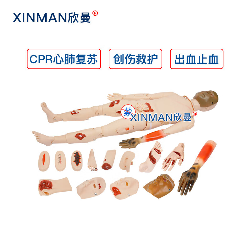 欣曼科教 高级全功能创伤与CPR模拟人 战创伤模拟人 自救互救基础伤情模拟人XM-CS799高清大图