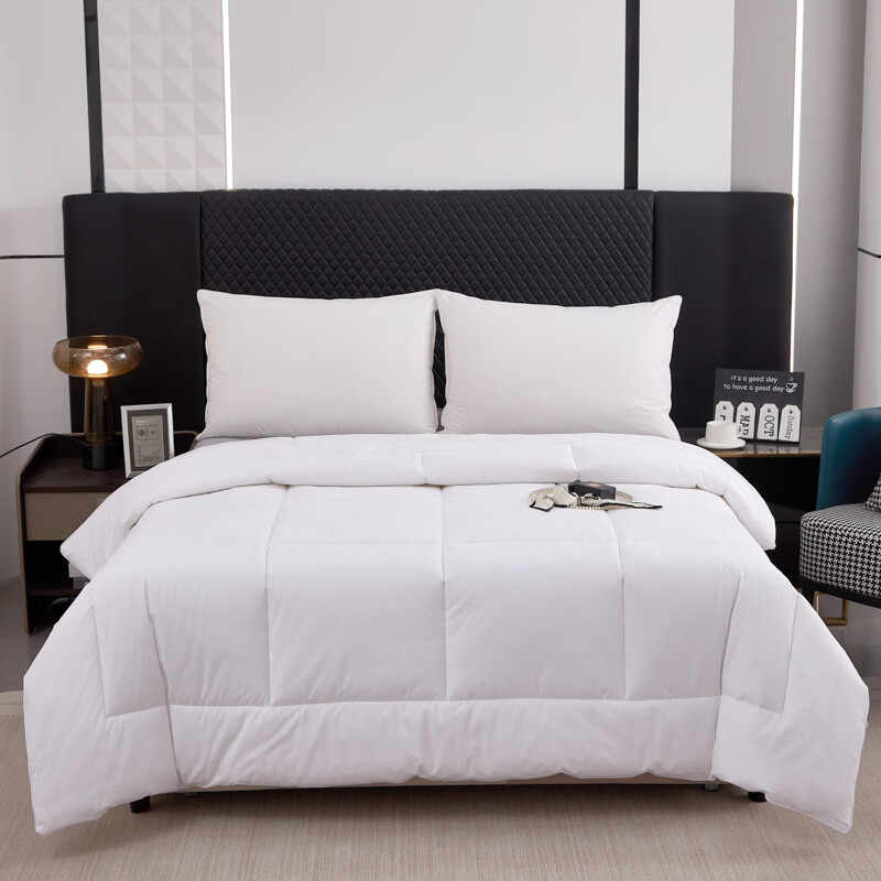 汉司家纺 HANSI-54 全棉防羽布 230*240cm 四季通用被芯 被子 1.00 件/条 (计价单位:条)高清大图